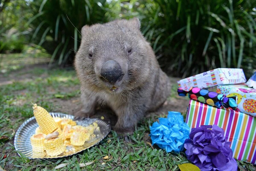 npm passes the 1 millionth package milestone! What can we learn?